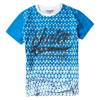 Παιδική μπλούζα New College για αγόρια Skater Mπλε καθημερινές επώνυμες ποιοτικές μπλούζες online