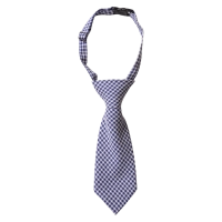 Παιδική γραβάτα για αγόρια Tie καρό μπλε αγορίστικες ργαβάτες με κλιπς για αγοράκια ετών Online