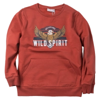 Παιδική μπλούζα Name it για αγόρια Wild spirit κεραμυδί αγορίστικα καθημερινά επώνυμα οικονομικά