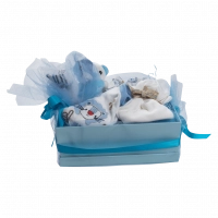 Δώρα για νεογέννητα μωροτούρτα για αγόρια Little lion γαλάζιο δώρα μαιευτηρίου βρεφικά οικονομικά online (1)