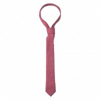 Παιδική γραβάτα για αγόρια Came μπορντό κουστούμια σετ εντυπωσιακές ετών online (1)