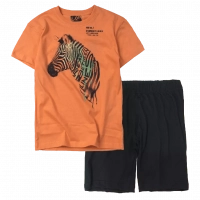 Παιδική μπλούζα Losan για αγόρια zebra πορτοκαλί αγορίστικες κοντομάνικες καλοκαιρινές μπλούζες tshirt ετών | Παιδική βερμούδα Online για αγόρια Protem μαύρο καλοκαιρινές βερμούδες αγορίστικες σορτσάκια οικονομικά ελληνικά ετών 