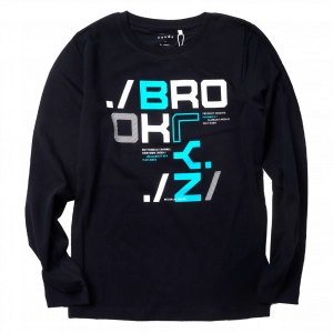 Παιδική μπλούζα Name it για αγόρια Bro μπλε καθημερινές ετών επώνυμες εποχιακές μακρυμάνικες online  (1)