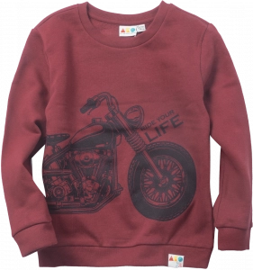 Παιδική μπλούζα AKO για αγόρια Rider μπορντό καθημερινή σχολείο χειμωνιάτικο άνετο ζεστό οικονομικό ετών Online (1)