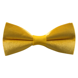 Παιδικό παπιγιόν για αγόρια Neke κίτρινο για παραγαμπράκια για κουστούμι για καλό ετών online  (1)