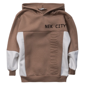 Παιδική μπλουζα ΝΕΚ για αγόρια NEKCity μπεζ φουτερ αγορίστικη ζεστή καθημερινή για το σχολείο ετών online (1)