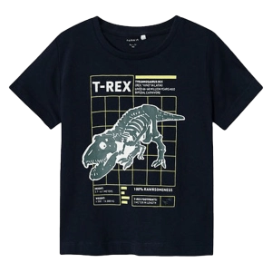 Παιδική μπλούζα Name it για αγόρια Rex μπλε σχολείο καθημερινό βαμβακερό δεινόσαυρος μακό ετών online (1)