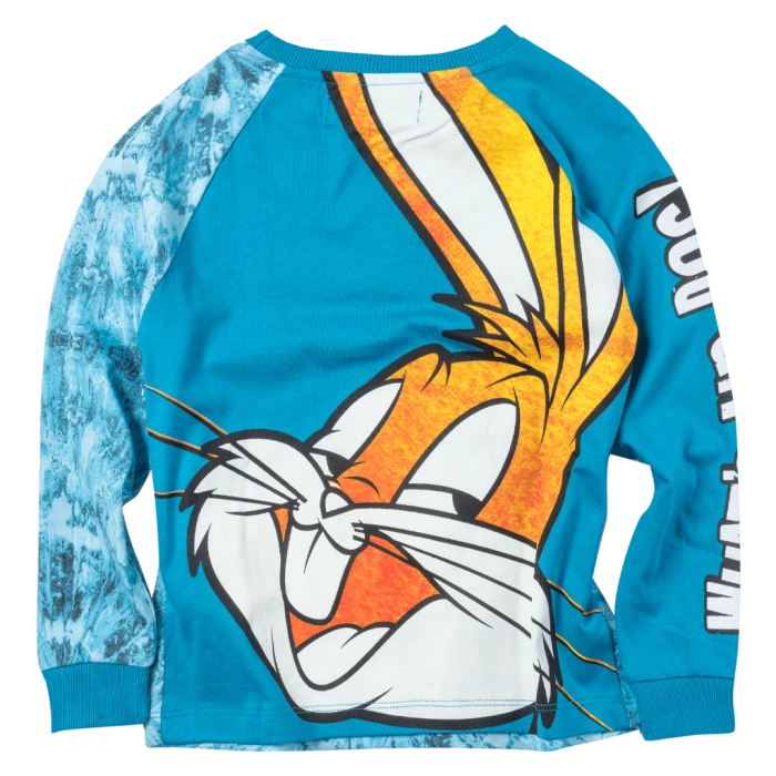 Παιδική μπλούζα Desigual για αγόρια Bunny Μπλε αγορίστικες μοντέρνες μπλούζες looney tunes πλάτη