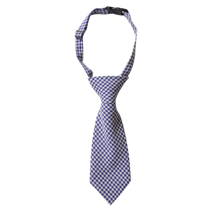 Παιδική γραβάτα για αγόρια Tie καρό μπλε αγορίστικες ργαβάτες με κλιπς για αγοράκια ετών Online