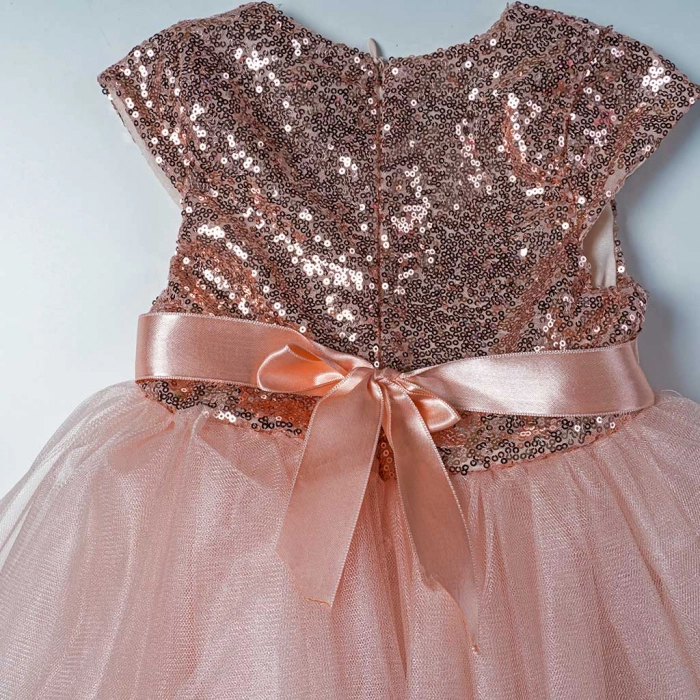 Παιδικό φόρεμα για κορίτσια Adelaide σομον κοριτσίστικα αμπιγιέ καλά τούλι ετών μονόχρωμα (1)