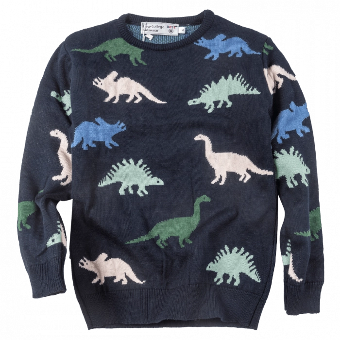 Παιδική μπλούζα New College για αγόρια Jurassic μπλε καθημερινή άνετη πλεκτή ζεστή σχολείο ετών online (1)