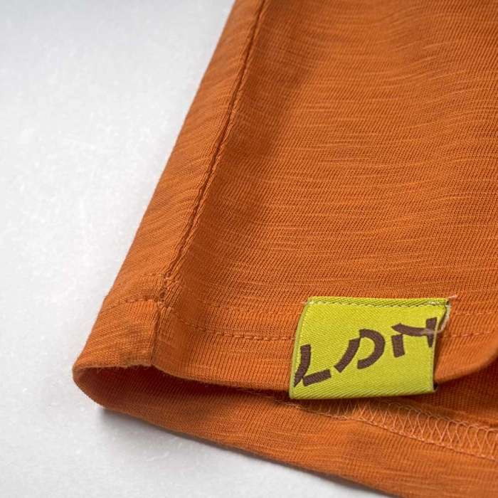 Παιδική μπλούζα Losan για αγόρια Awayland πορτοκαλί κοντομάνικες καλοκαιρινές tshirt μπλούζες αγορίστικες ετών (4)