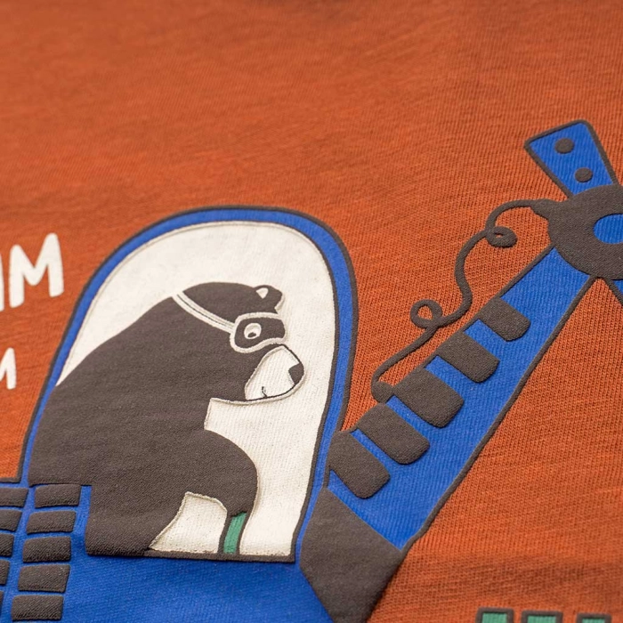 Παιδική μπλούζα Name it για αγόρια Wromm καφέ καθημερινές εποχιακές ετών επώνυμες online  (3)
