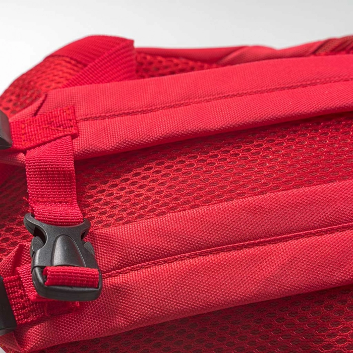 Παιδική τσάντα πλάτης για αγόρια Raοr Dino κόκκινο καθημερινή βόλτα σχολείο μοντερνά  πλάτης ετών online  (4)