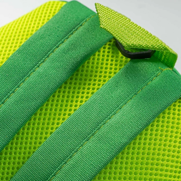Παιδική τσάντα πλάτης για αγόρια Raοr Dino πράσινο σχολείο βόλτα μοντέρνα πλάτης καθημερίνη ετών online (4)