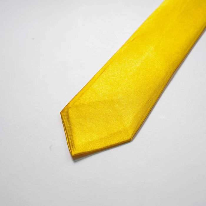 Παιδική γραβάτα Οnline για αγόρια YellowSir κίτρινο για κουστούμια για εκδηλωσεις για παραγαμπράκια  γραβάτες ετών online  (2)