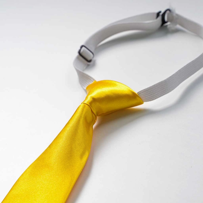 Παιδική γραβάτα Οnline για αγόρια YellowSir κίτρινο για κουστούμια για εκδηλωσεις για παραγαμπράκια  γραβάτες ετών online  (3)
