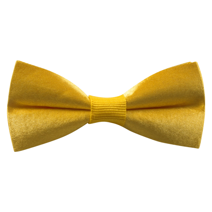 Παιδικό παπιγιόν για αγόρια Neke κίτρινο για παραγαμπράκια για κουστούμι για καλό ετών online  (1)