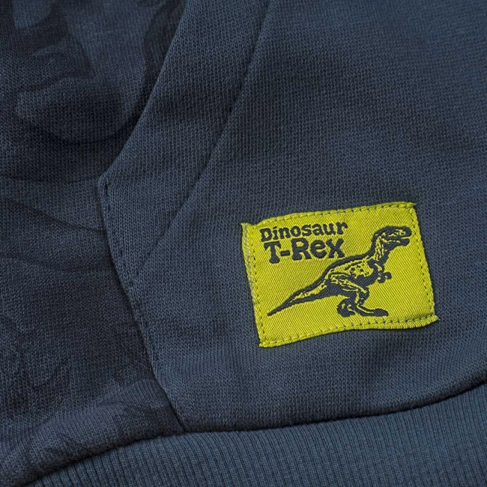 Παιδική μπλούζα Losan για αγόρια T-rex dinos μπλε καθημερινά αγορίστικα online (5)