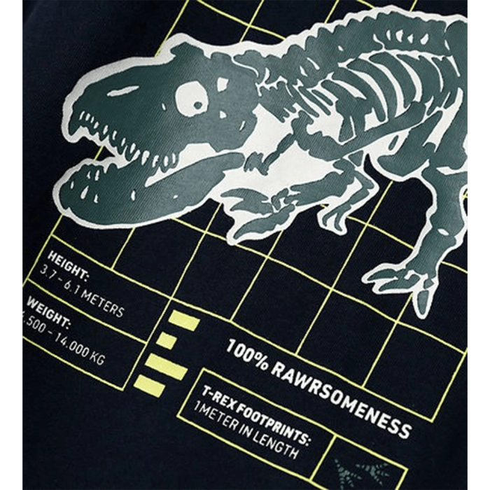 Παιδική μπλούζα Name it για αγόρια Rex μπλε σχολείο καθημερινό βαμβακερό δεινόσαυρος μακό ετών online (2)